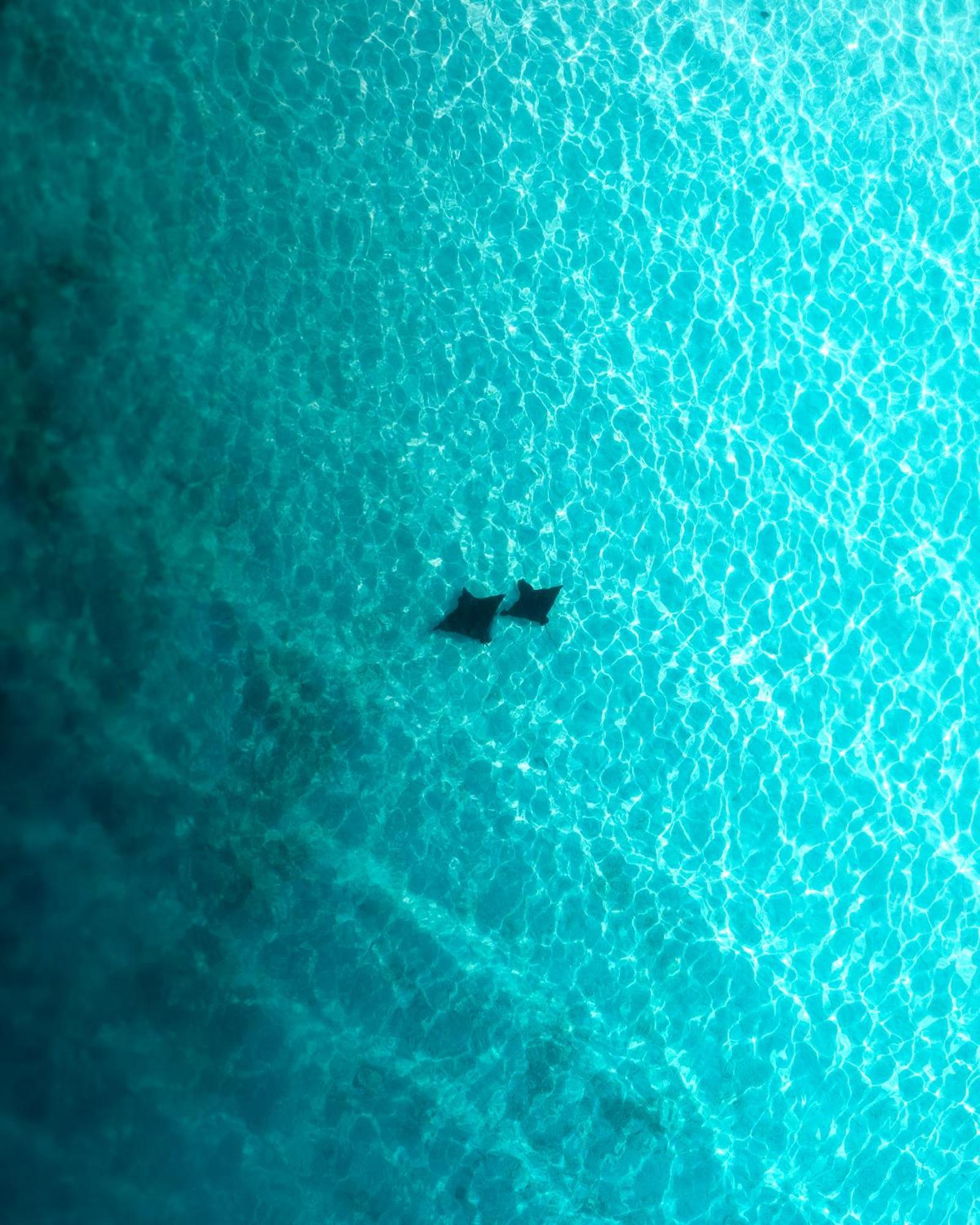 Ocean Pearl Maldives At Gulhi Island Hotel Kültér fotó